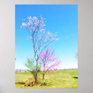 De oostelijke Redbud staat naast de oostelijke Red Poster