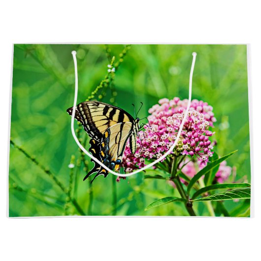 De oostelijke Vlinder van Swallowtail van de Groot Cadeauzakje (Voorkant)