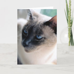 De op een afstand Siamese Kaart van de Kat (Leeg