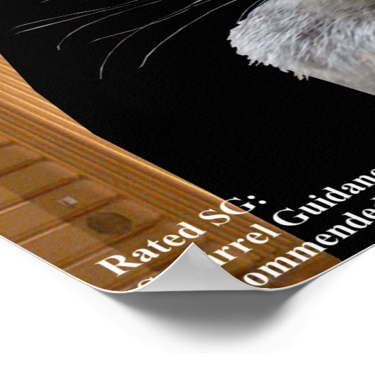 De Opera Phantom Squirrel Poster (Hoek)