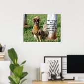 De oplossing voor een Humor op de slechte haardag Poster (Thuiskantoor)