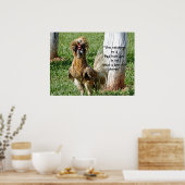 De oplossing voor een Humor op de slechte haardag Poster (Keuken)
