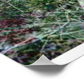 De oppervlakkige trap van Rowan Blair Colver Poster (Hoek)