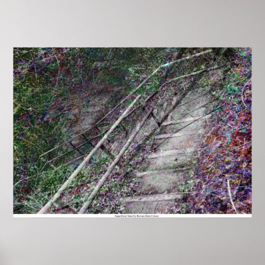De oppervlakkige trap van Rowan Blair Colver Poster (Voorkant)