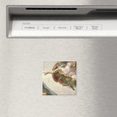 De oprichting van Adam II Magnet (Insitu (Vaatwasser))