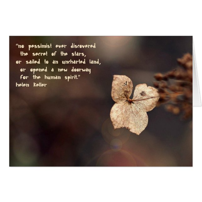 De Optimist (Voorkant Horizontaal)