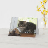 De opwindende Wensen van de Verjaardag Kaart (Gele Bloem)