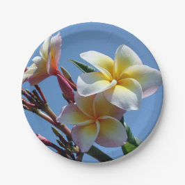 De opzichtige Bloei van Plumeria Frangipani Papieren Bordje