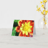 De oranje en Gele Kaart van de Nota van de Bloem (Gele Bloem)