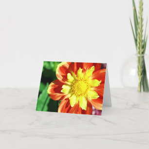 De oranje en Gele Kaart van de Nota van de Bloem