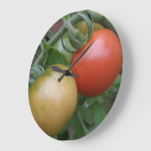 De oranje en Rode Klok van de Muur van Tomaten (Hoek)