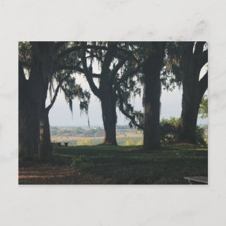 De Oranje grove voorbij de eikenbomen Briefkaart