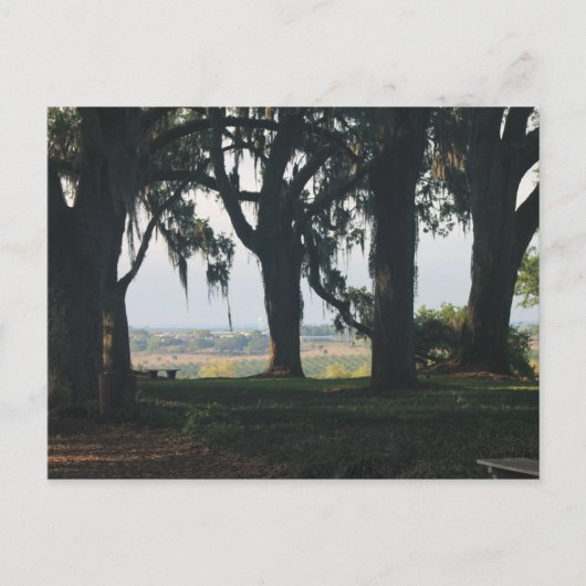 De Oranje grove voorbij de eikenbomen Briefkaart (Voorkant)