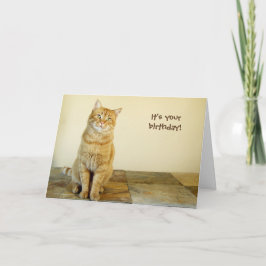 De oranje Kaart van de Verjaardag van de