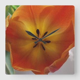 De oranje Keuken van de Bloei van de Tulp Vierkante Klok