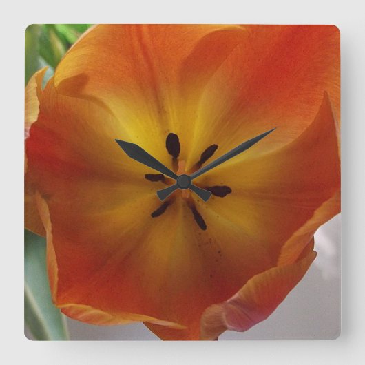 De oranje Keuken van de Bloei van de Tulp Vierkante Klok (Voorkant)