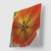 De oranje Keuken van de Bloei van de Tulp Vierkante Klok (Hoek)