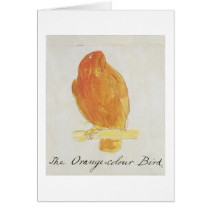 De Oranje kleurenvogel uit 'zestien tekeningen van