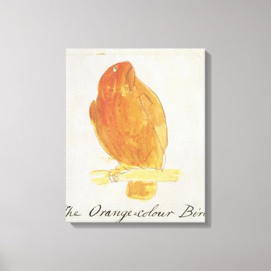 De Oranje kleurenvogel uit 'zestien tekeningen van Canvas Afdruk (Voorkant)