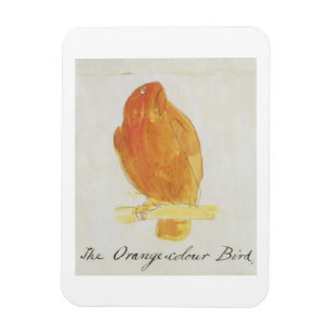 De Oranje kleurenvogel uit 'zestien tekeningen van Magneet