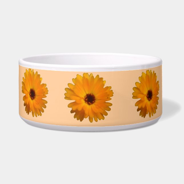 De oranje Kom van de Hond van de Goudsbloem (Voorkant)