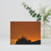 De oranje lucht briefkaart (Staand voorkant)