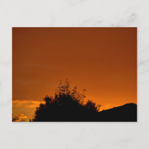 De oranje lucht briefkaart