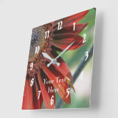 De oranje Natuur van de Bloemblaadjes van de Vierkante Klok (Hoek)