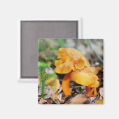 De oranje Wilde Magneet van de Fotografie van de (Voorkant / Achterkant)