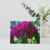 De Orchid Briefkaart (Staand voorkant)