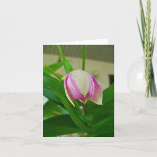 De orchidee bloem opent op een blanco briefkaart