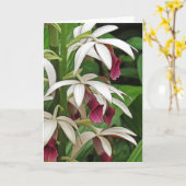 De Orchidee van de non komt Wenskaart tot bloei Kaart (Gele Bloem)