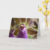 De Orchidee van Zygopetalum Kaart (Gele Bloem)