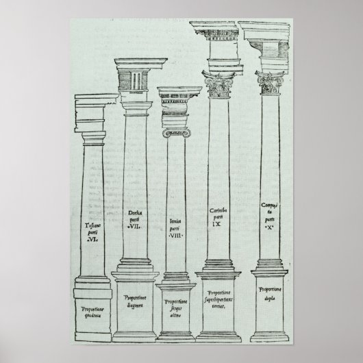 De Orders van Architectuur Poster (Voorkant)
