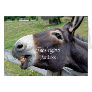 De originele Jackass Funny Donkey Mule Boerderij A