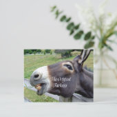 De originele Jackass Funny Donkey Mule Boerderij A Briefkaart (Staand voorkant)