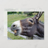 De originele Jackass Funny Donkey Mule Boerderij A Briefkaart (Voorkant / Achterkant)