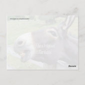 De originele Jackass Funny Donkey Mule Boerderij A Briefkaart (Achterkant)