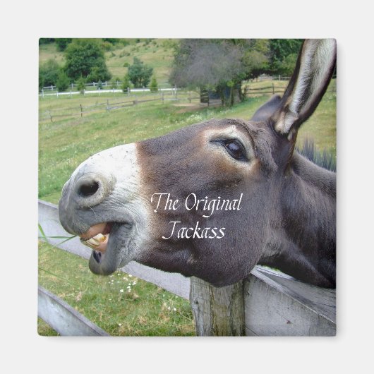 De originele Jackass Funny Donkey Mule Boerderij A Magneet (Voorkant)