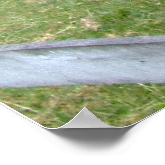 De originele Jackass Funny Donkey Mule Boerderij A Poster (Hoek)