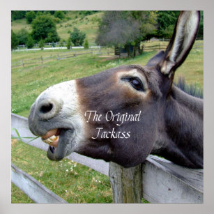 De originele Jackass Funny Donkey Mule Boerderij A Poster
