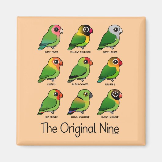 De originele negen magneet (Voorkant)