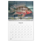 De Oscar Spot Kalender (Mar 2027)