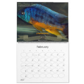 De Oscar Spot Kalender (Feb 2027)