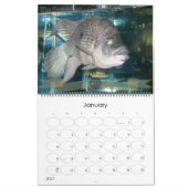 De Oscar Spot Kalender (Jan 2027)