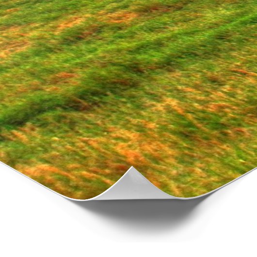 De Otter Creek Barn Poster (Hoek)