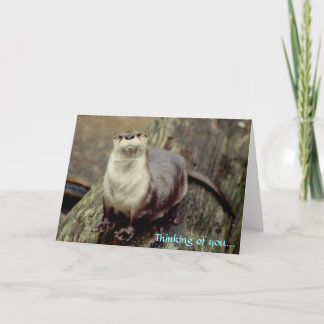 De Otter, denk aan jou... Kaart