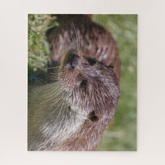 De Otter Resting van Eurazië op zonneschijn Legpuzzel (Verticaal)
