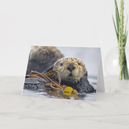 De Otter van het Zee van Californië Kaart