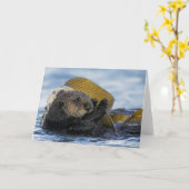 De Otters van het Zee van Californië Kaart (Gele Bloem)